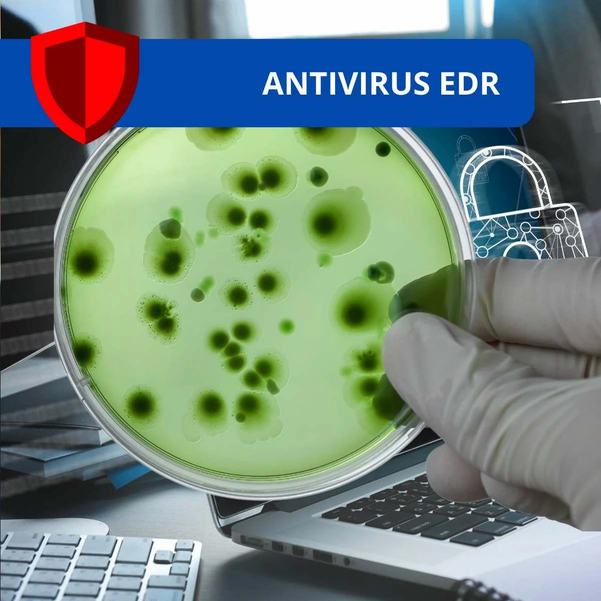 Boîte de Petri contenant une culture virale, illustration de l’antivirus EDR